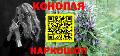 сатива Краснознаменск