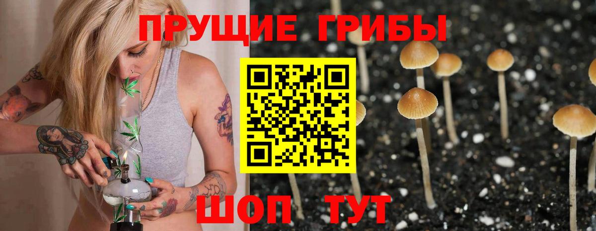 Углич  Псилоцибиновые грибы мицелий  Вход с VPN  Псилоцибиновые грибы прущие грибы 
